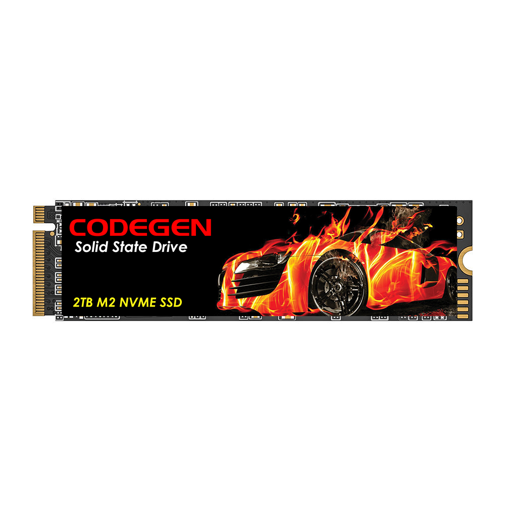 CODEGEN CDG-2TB-NVME M.2 2TB (3600/3000MB/s) PCIe + NVMe SSD Disk (22x80MM) - 34062