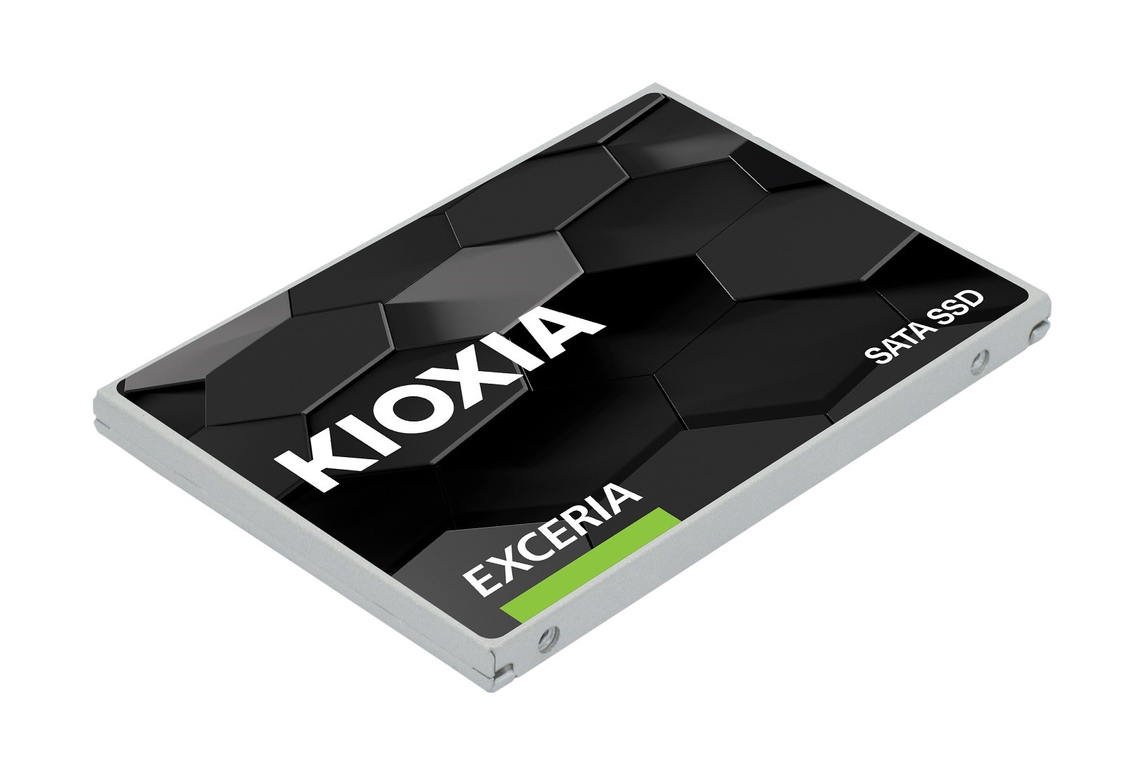 KIOXIA EXCERIA 960GB 3D 555/540 MB/sn 3YIL Garanti SSD - LTC10Z960GG8
