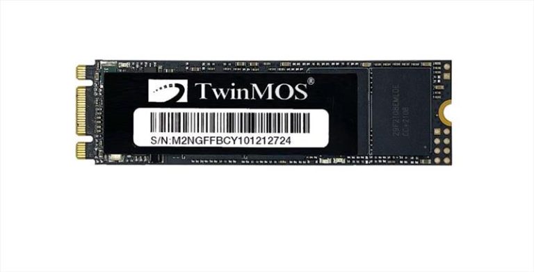 TWINMOS NGFFEGBM2280 M.2 256GB (580/550MB/s) PCIe SATA (3D NAND) SSD Disk (22x80MM) - 29550