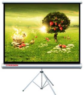 CODEGEN TX-20 200x200 Ayaklı Projeksiyon Perdesi - 3198