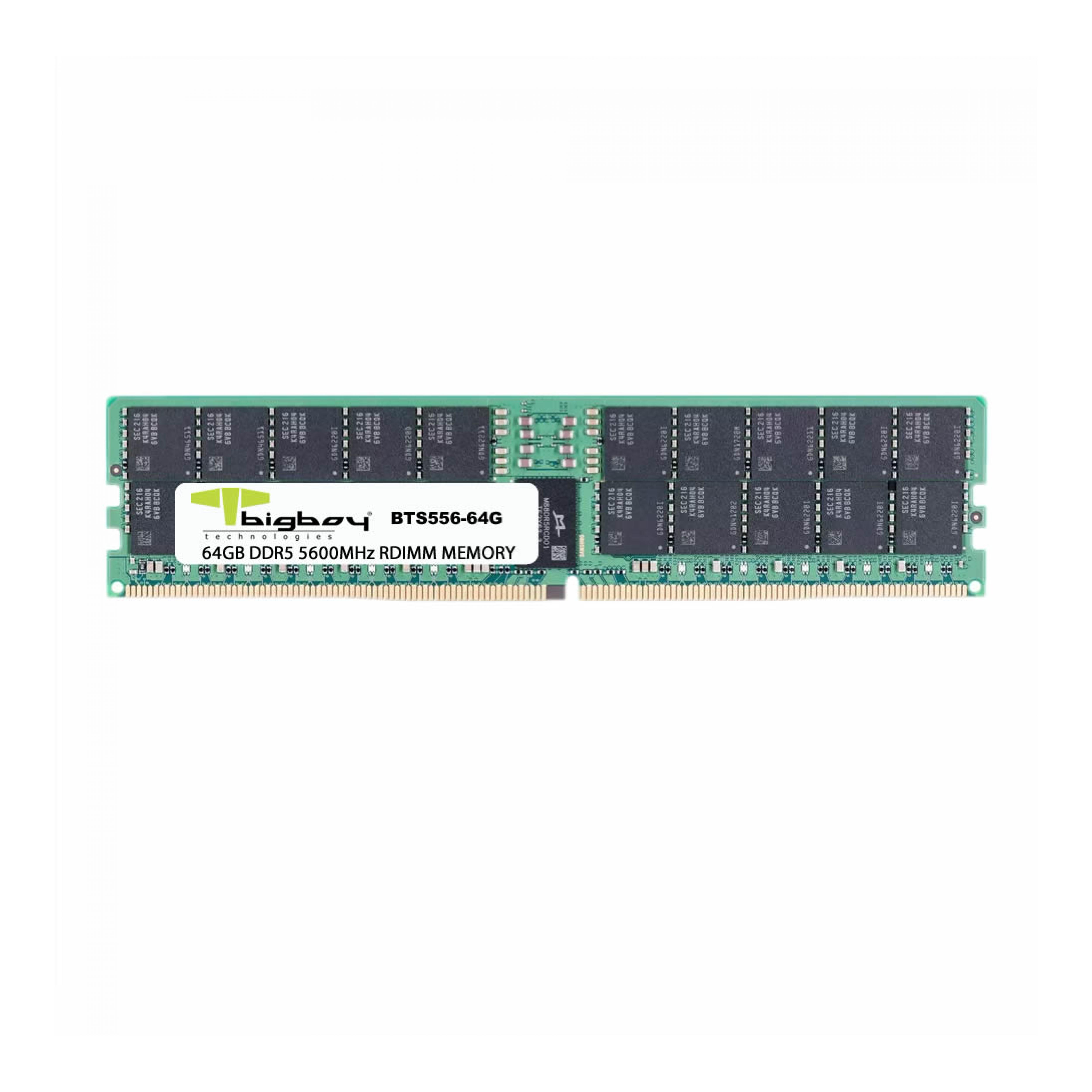 BIGBOY 64GB DDR5 5600MHz CL46 Registered 2Rx8 Sunucu Rami / BTS556-64G-KAR63091