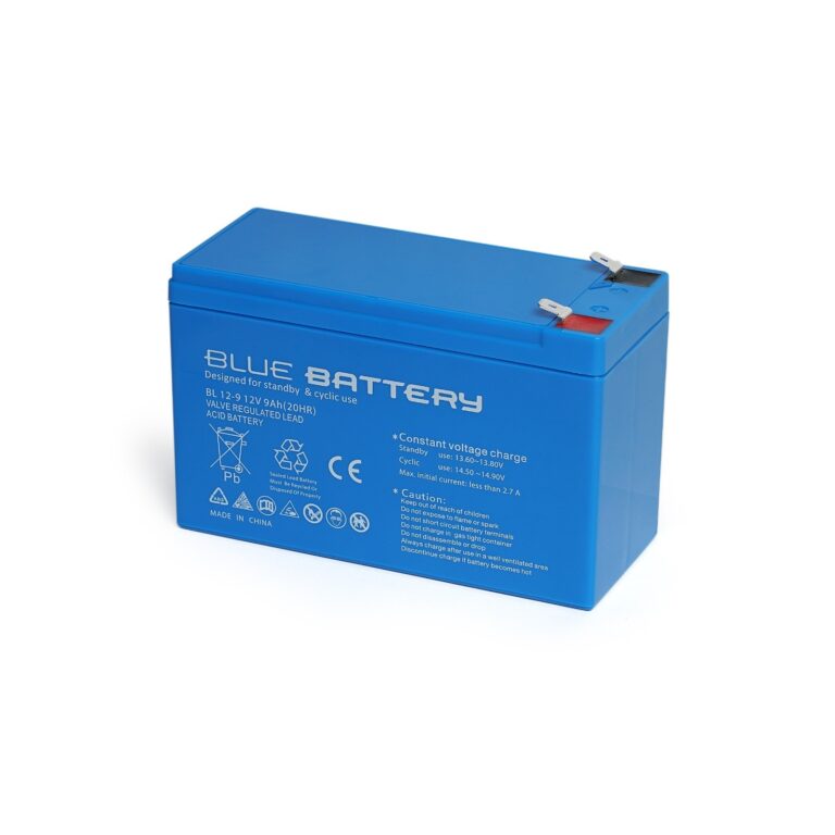 Blue Battery 12V 9Ah Kuru Akü Tip Akü - ups.00010